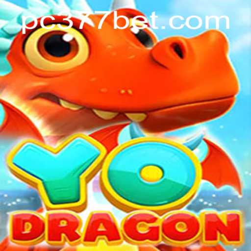 Exploring the World of YoDragon and the Rise of 377BET